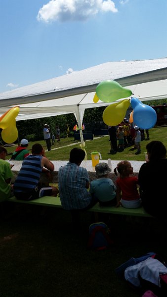 Den Deti 2014   7.jpg
